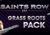 Saints Row IV - Grass Roots Pack DLC — Steam, Standard