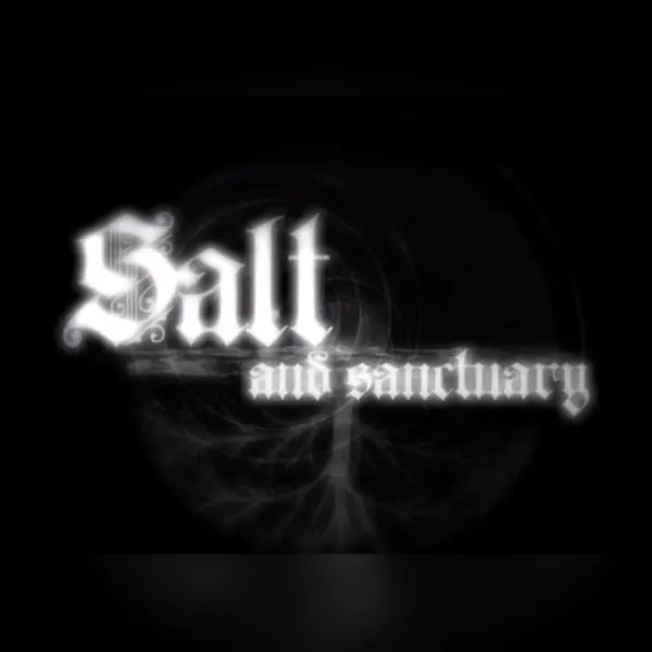 Salt and Sanctuary — Steam, Standard