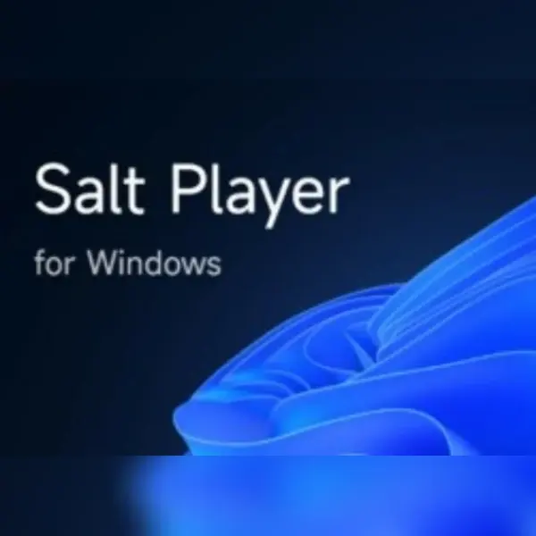 Salt Player for Windows — Steam, Standard