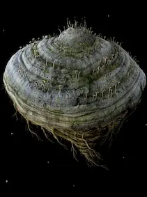 Samorost 2 — Steam, Standard