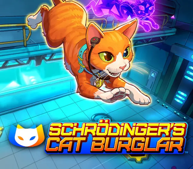 Schrodinger's Cat Burglar — Steam, Standard