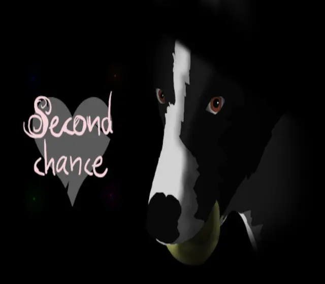 Second Chance — Steam, Standard
