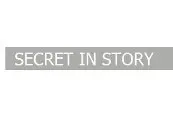 Secret in Story — Steam, Standard