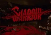 Shadow Warrior Steam Gift — Steam, Standard