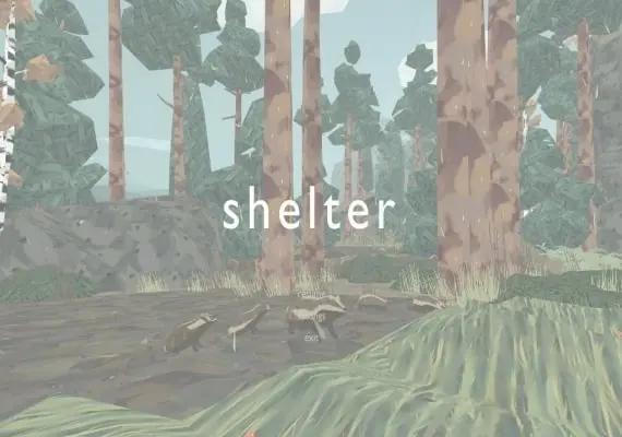 Shelter — Steam, Standard