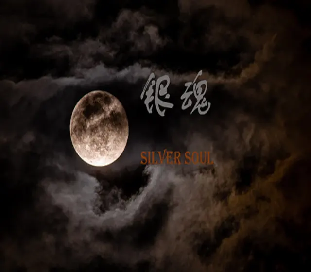 银魂：Silver Soul — Steam, Standard