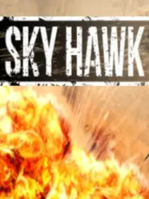 Sky Hawk — Steam, Standard