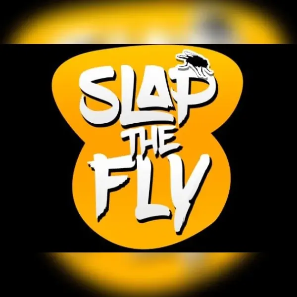 Slap The Fly — Steam, Standard