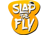 Slap The Fly — Steam, Standard