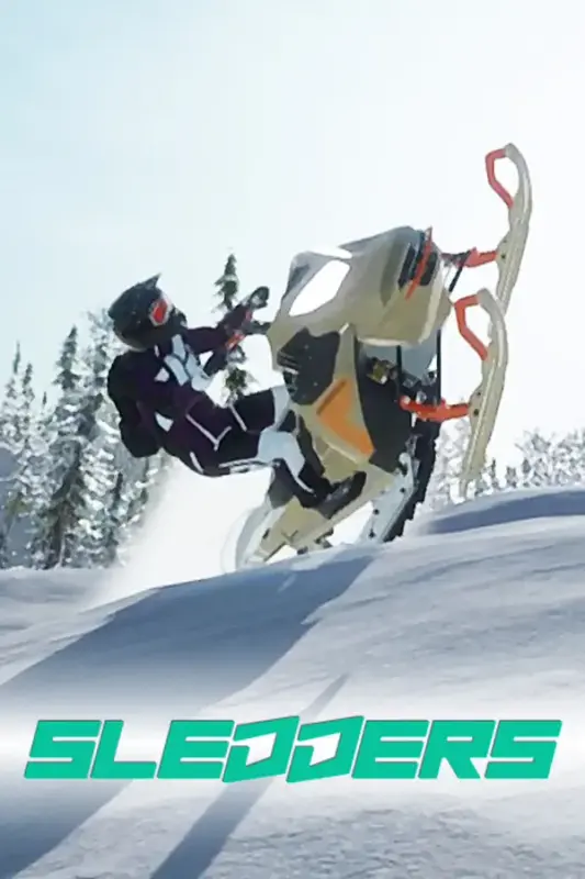 Sledders — Steam, Standard