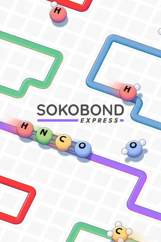 Sokobond Express — Steam, Standard