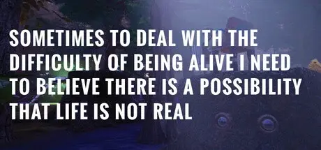 Sometimes to Deal with the Difficulty of Being Alive, I Need to Believe There Is a Possibility That Life Is Not Real. — Steam, Standard