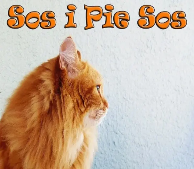 Sos i Pie Sos — Steam, Standard