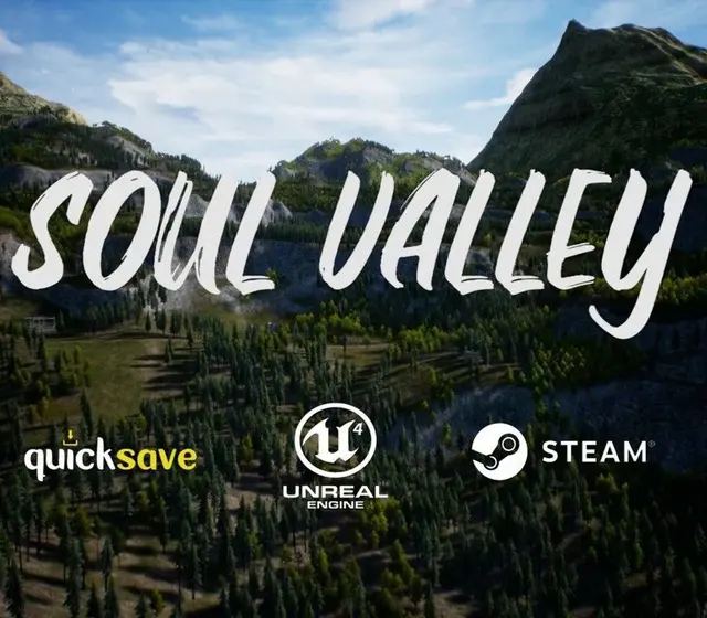 Soul Valley — Steam, Standard