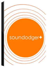 Soundodger — Steam, Standard