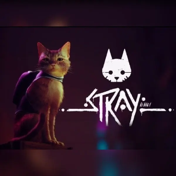 Stray — Steam, Standard