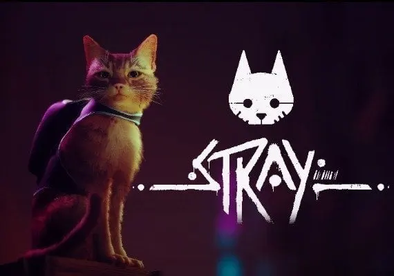 Stray — Steam, Standard