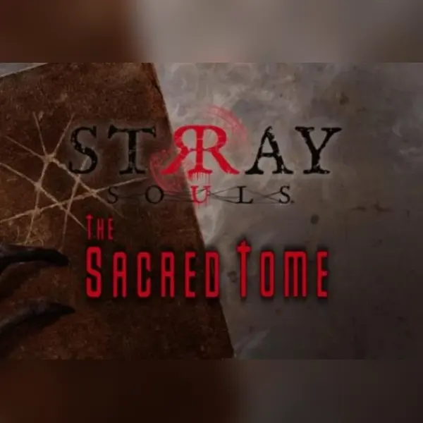 Stray Souls - The Sacred Tome (DLC) — Steam, Standard