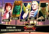Street Fighter V - Season 3 Character Pass — Steam, Standard