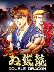Super Double Dragon — Steam, Standard
