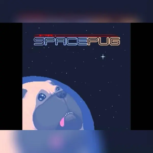 Super Space Pug — Steam, Standard