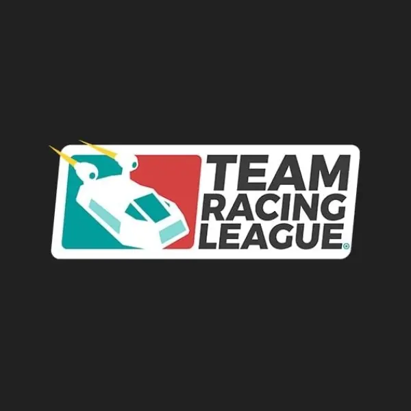 Team Racing League — Steam, Standard