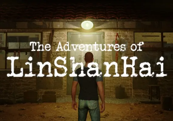 The Adventures of LinShanHai ZH — Steam, Standard