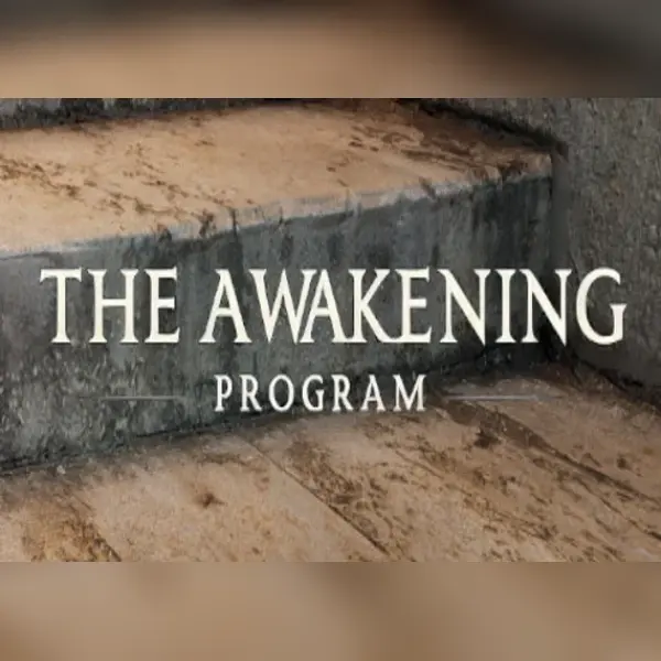 The Awakening Program — Steam, Standard
