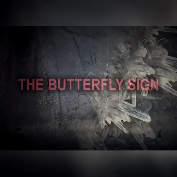 The Butterfly Sign: Human Error — Steam, Standard