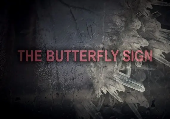 The Butterfly Sign: Human Error EN/DE/RU — Steam, Standard
