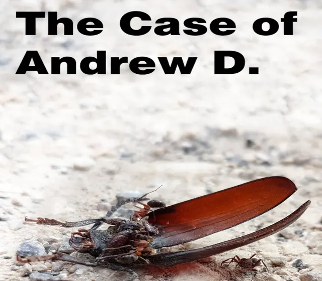 The Case of Andrew D. — Steam, Standard