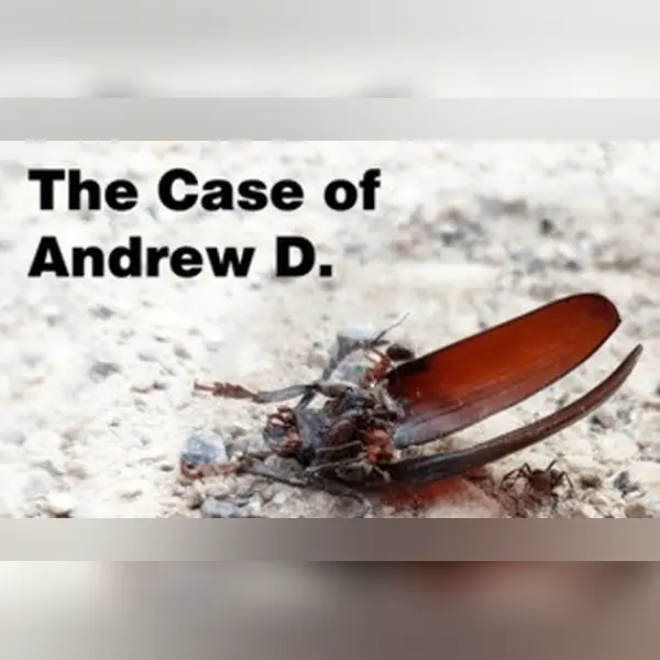 The Case of Andrew D. — Steam, Standard