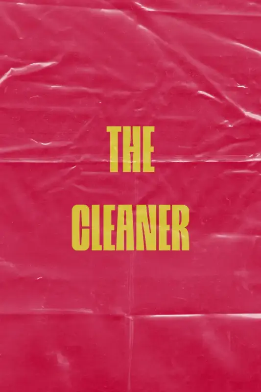 The Cleaner — Steam, Standard