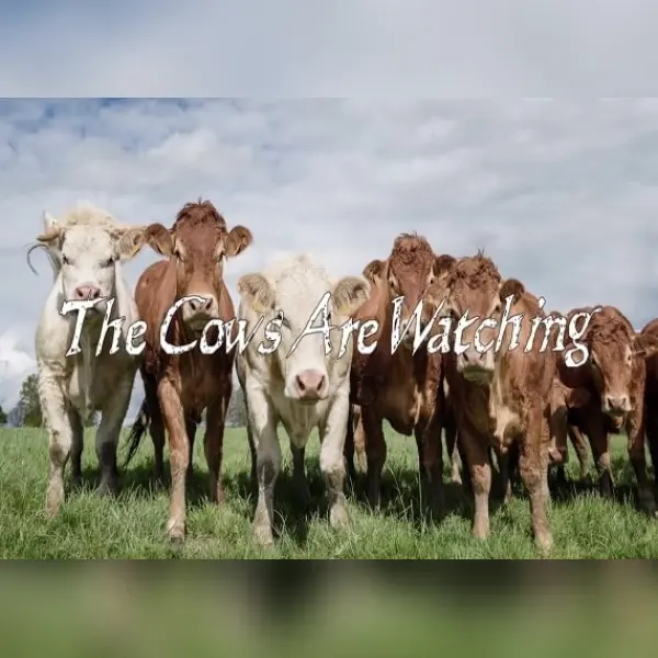 The Cows Are Watching — Steam, Standard