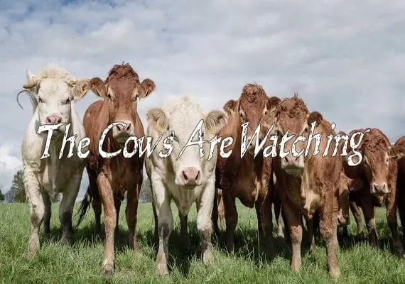 The Cows Are Watching EN/DE — Steam, Standard