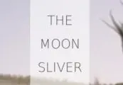 The Moon Sliver — Steam, Standard