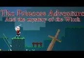 The Princess Adventure — Steam, Standard