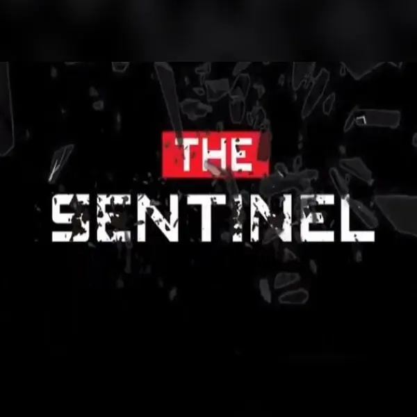 The Sentinel — Steam, Standard