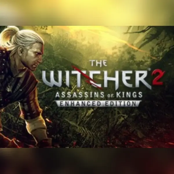 The Witcher 2 — Steam, Standard