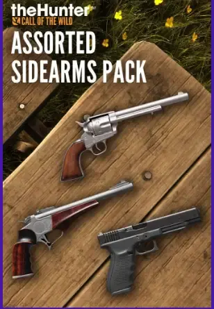 theHunter Call of the Wild - Assorted Sidearms Pack DLC — Steam, Standard