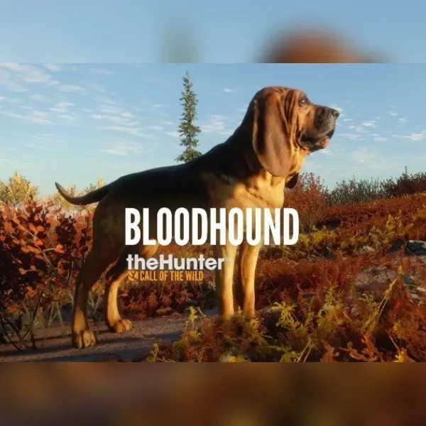 theHunter: Call of the Wild - Bloodhound (DLC) — Steam, Standard