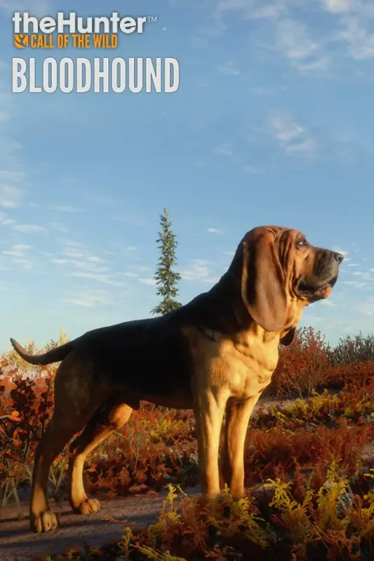 theHunter Call of the Wild - Bloodhound DLC — Steam, Standard