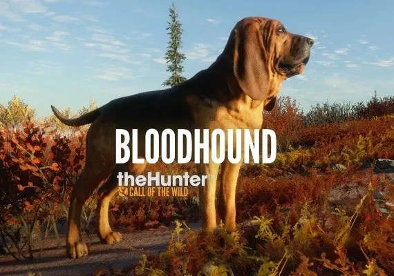 theHunter: Call of the Wild - Bloodhound DLC EN — Xbox One / Xbox Series X|S, Standard