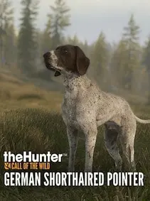 TheHunter: Call of the Wild - German Shorthaired Pointer — Steam, Standard