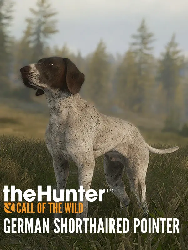 theHunter Call of the Wild - German Shorthaired Pointer DLC — Steam, Standard