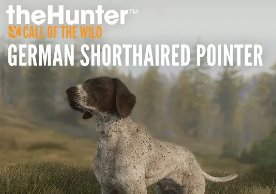 theHunter: Call of the Wild - German Shorthaired Pointer DLC EN — Steam, Standard