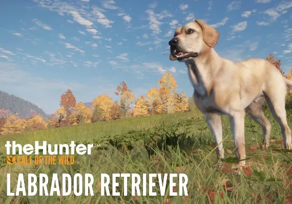 theHunter: Call of the Wild - Labrador Retriever DLC EN — Steam, Standard