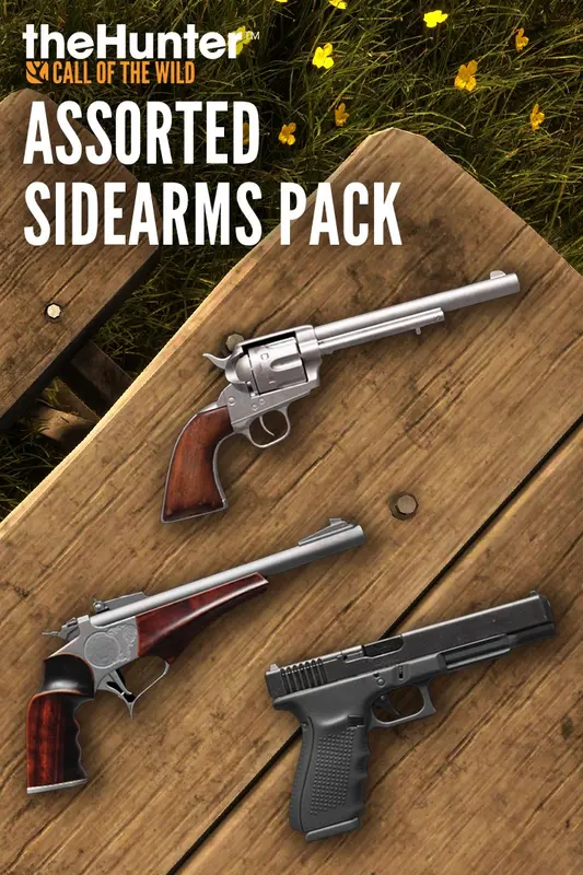 theHunter Call of the Wild™ - Assorted Sidearms Pack (DLC) — Steam, Standard