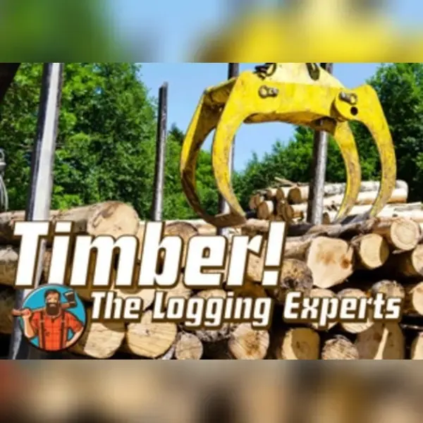 Timber! The Logging Experts — Steam, Standard