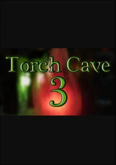 Torch Cave 3 — Steam, Standard